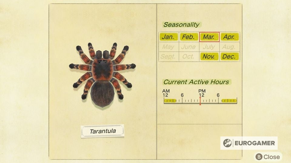 Animal Crossing Tarantulas How to catch, spawn and get Tarantula Island or make your own